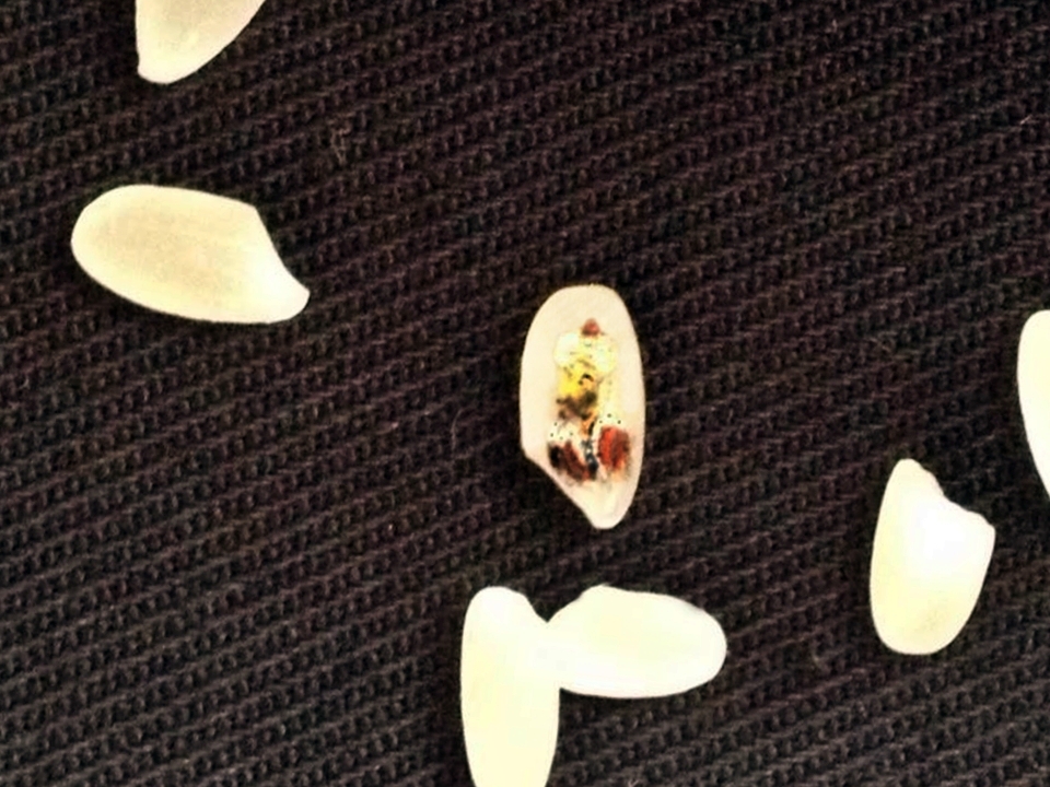 micro-art-artmanik-4
