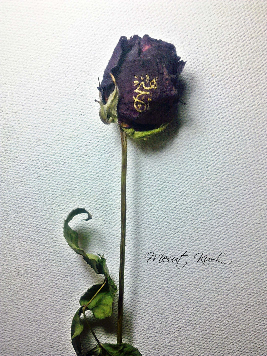 micro-art-artmanik-7